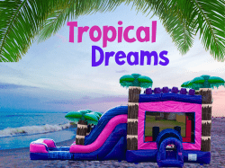 Tropical Dreams