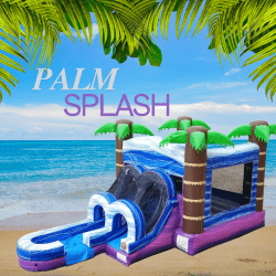 Palm Splash Bounce & Slide