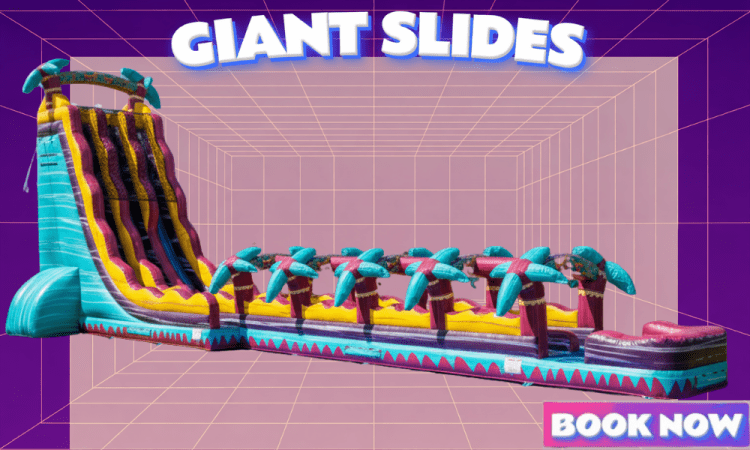 Giant Slides (20'+) Giant Slides (20'+)
