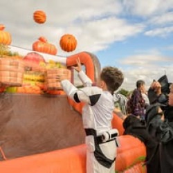 pumpkin20toss 1768930632 Pumpkin Toss